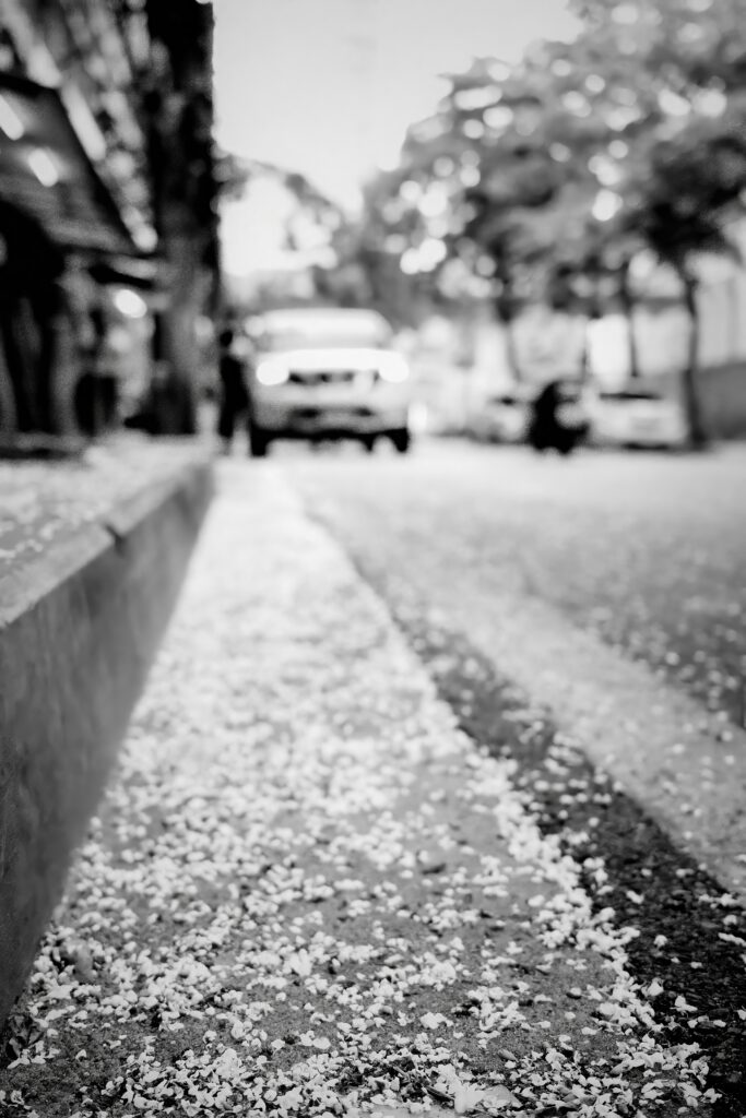 Dreamy Grayscale Wallpaper: Textured Road with Blurred Petals
