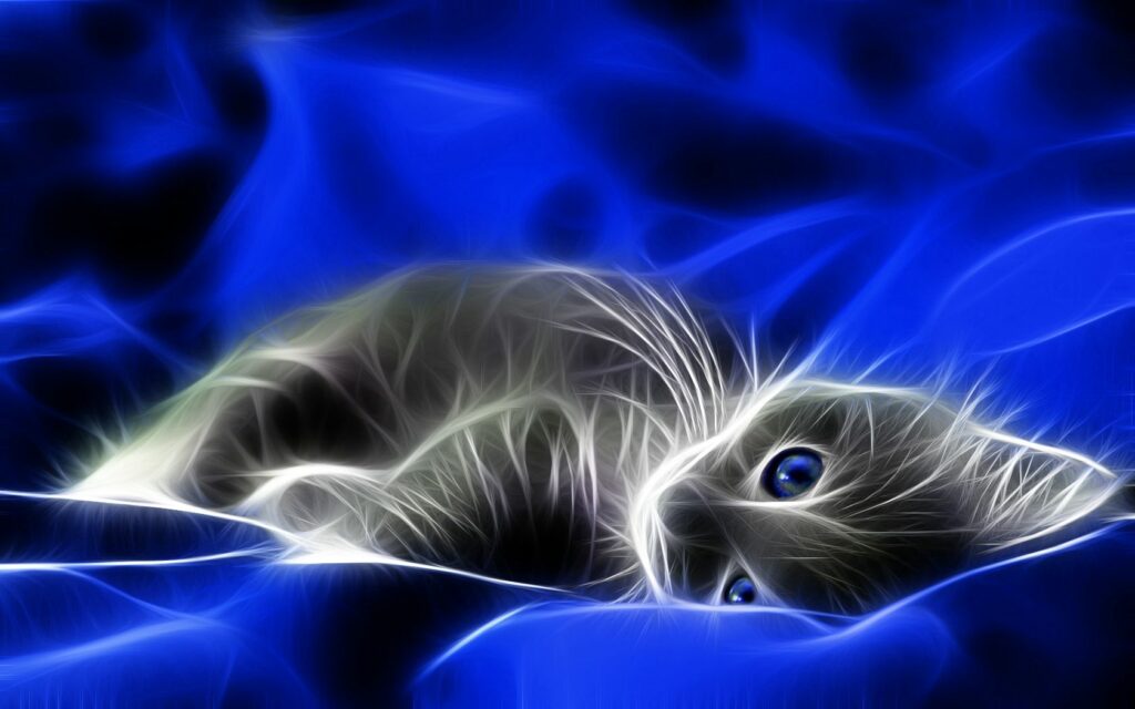 Dreamy Kitten Wallpaper: Abstract Blue & Gray Background 1680x1050