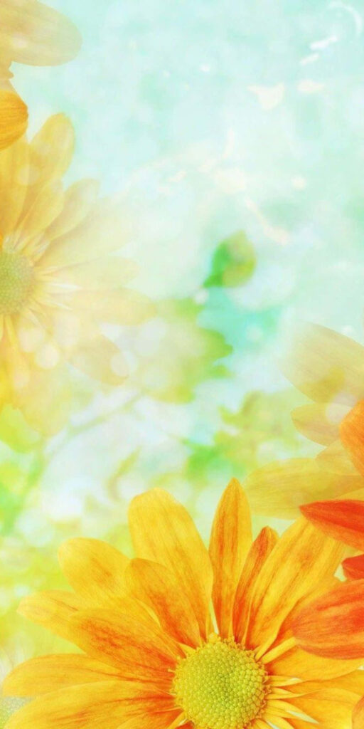 Dreamy Orange Flower Background: Soft-Focus Blue & Green Serenity Wallpaper