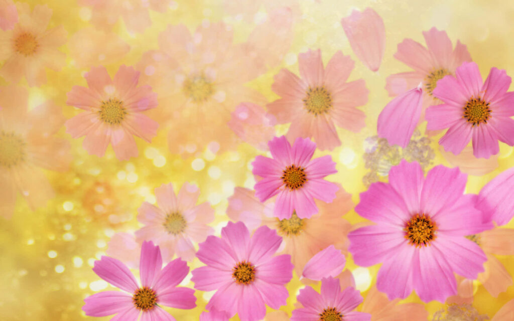 Vibrant Pink Flowers on Soft Yellow Background – Dreamy Wallpaper