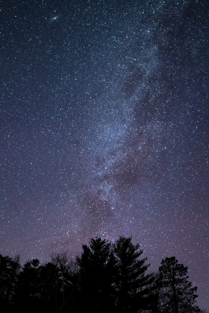 Starry night sky wallpaper with Milky Way above silhouetted trees in blue and purple hues