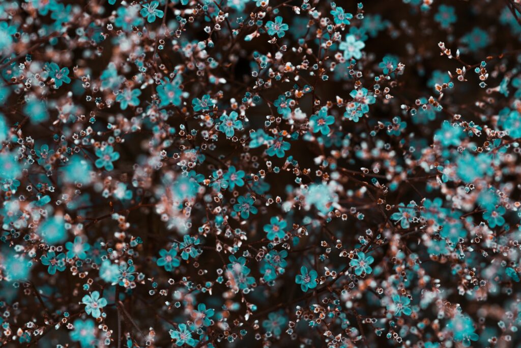 Serene Turquoise Flower Wallpaper - Dreamy Floral Background