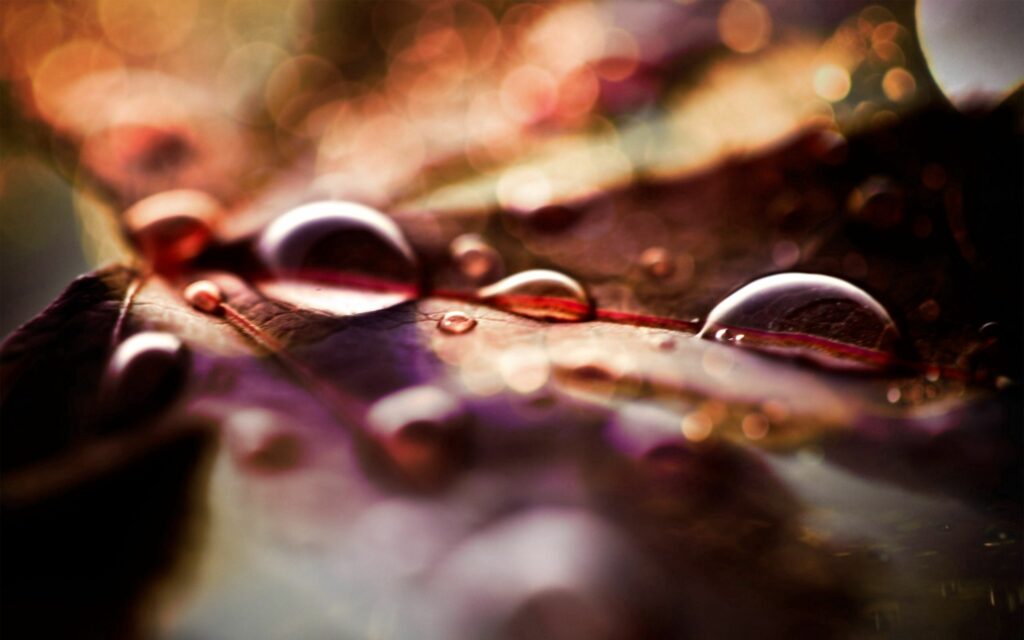 Dreamy Water Drops on Textured Surface – Vibrant Wallpaper Background