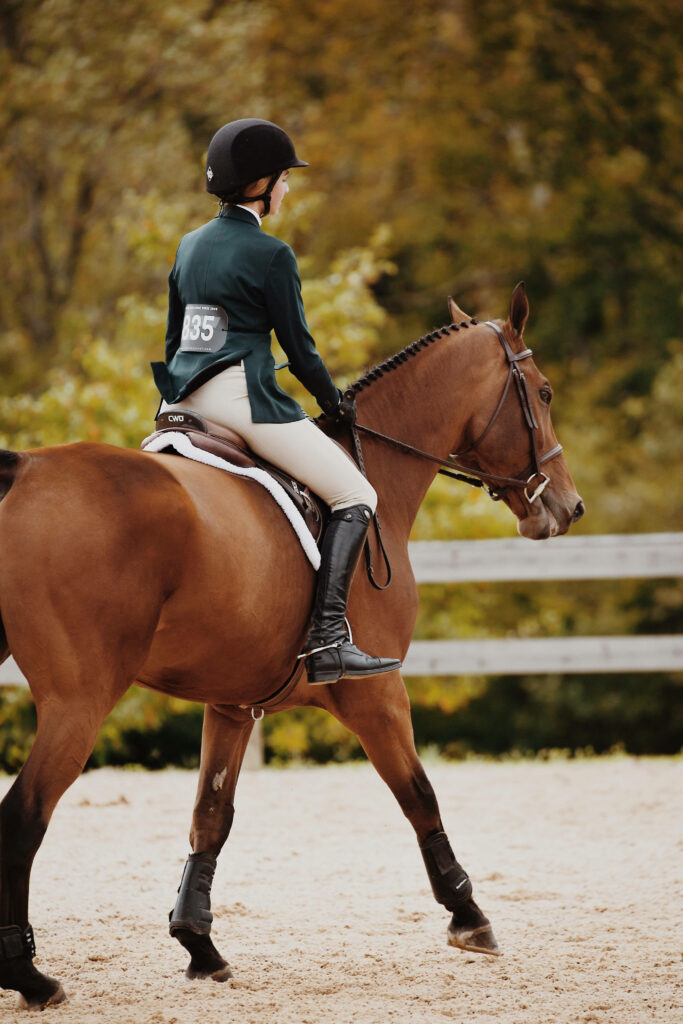 Horse and Rider Showcase Stunning Dressage Skills: Striking iPhone Wallpaper
