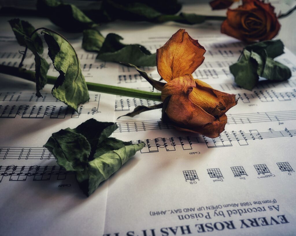 Elegant Dried Rose Over Musical Notes - Nostalgic Wallpaper Design