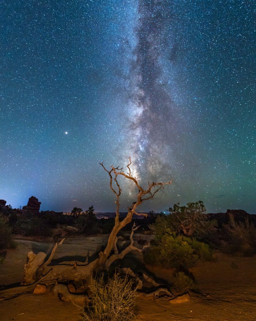 Driftwood under starry night sky with Milky Way over rugged terrain and sparse bushes wallpaper