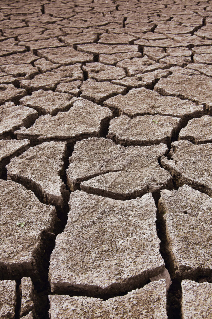 Close-up of dry cracked brown soil texture showing drought effects and rugged earth pattern Wallpaper