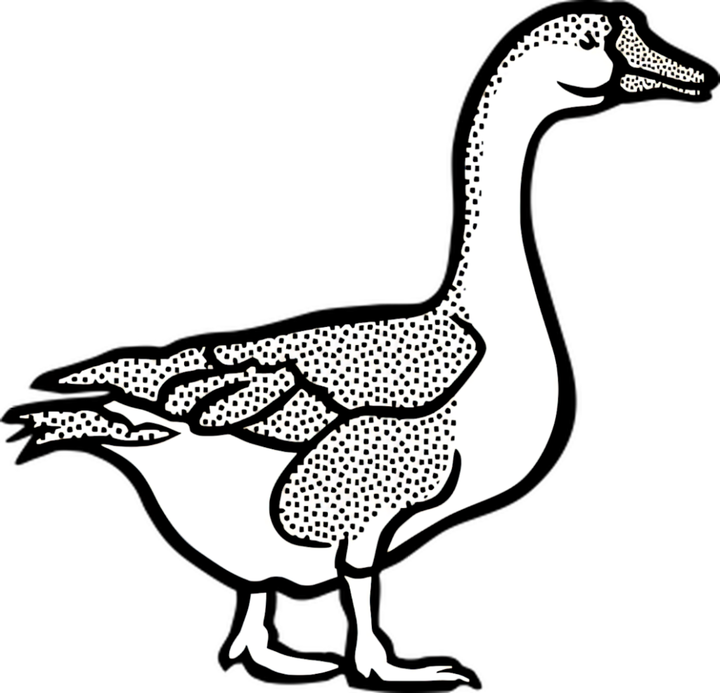 Duck-Rabbit Optical Illusion Wallpaper: Mind-Bending Dual Perception