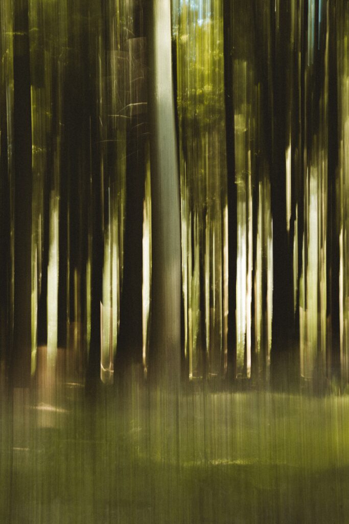 Dynamic Abstract Forest Wallpaper: Vertical Lines & Motion Blur Background