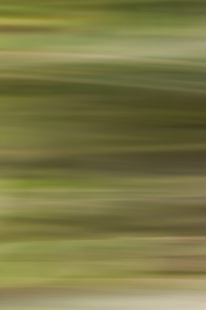 Dynamic Green Streaks Wallpaper: Modern Abstract Background Design