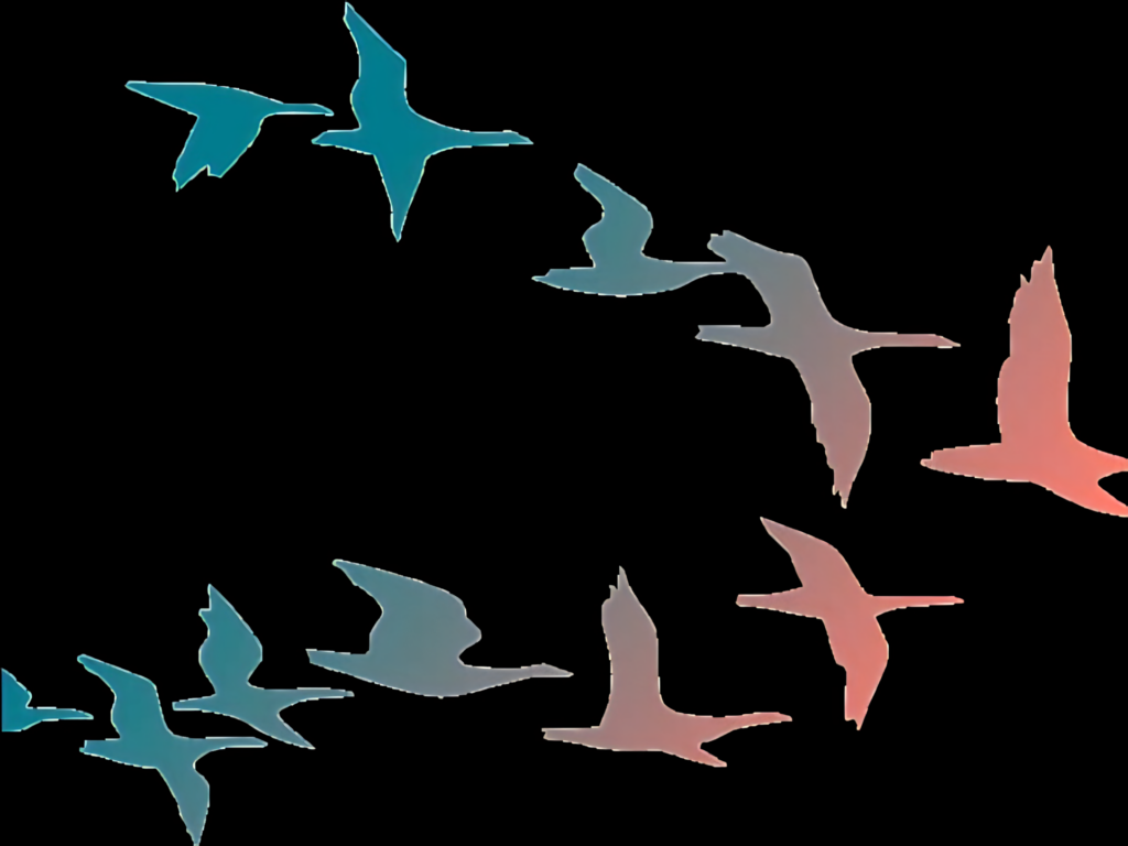 Abstract Flock of Bird Silhouettes in Teal and Pink Wallpaper Design