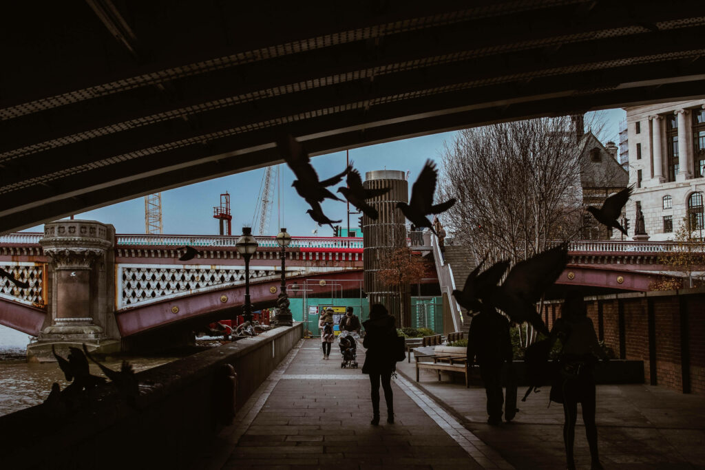 Dynamic Bird Silhouettes Under Bridge in Urban Landscape Wallpaper
