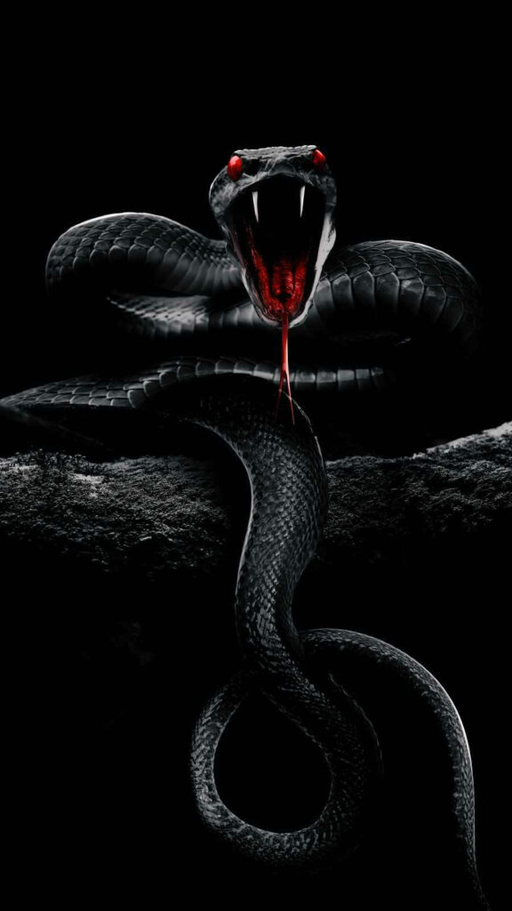 Intimidating Black Mamba Wallpaper: Dynamic Design & Stunning Detail