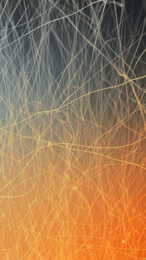 Dynamic Black and Orange Abstract Line Wallpaper Background