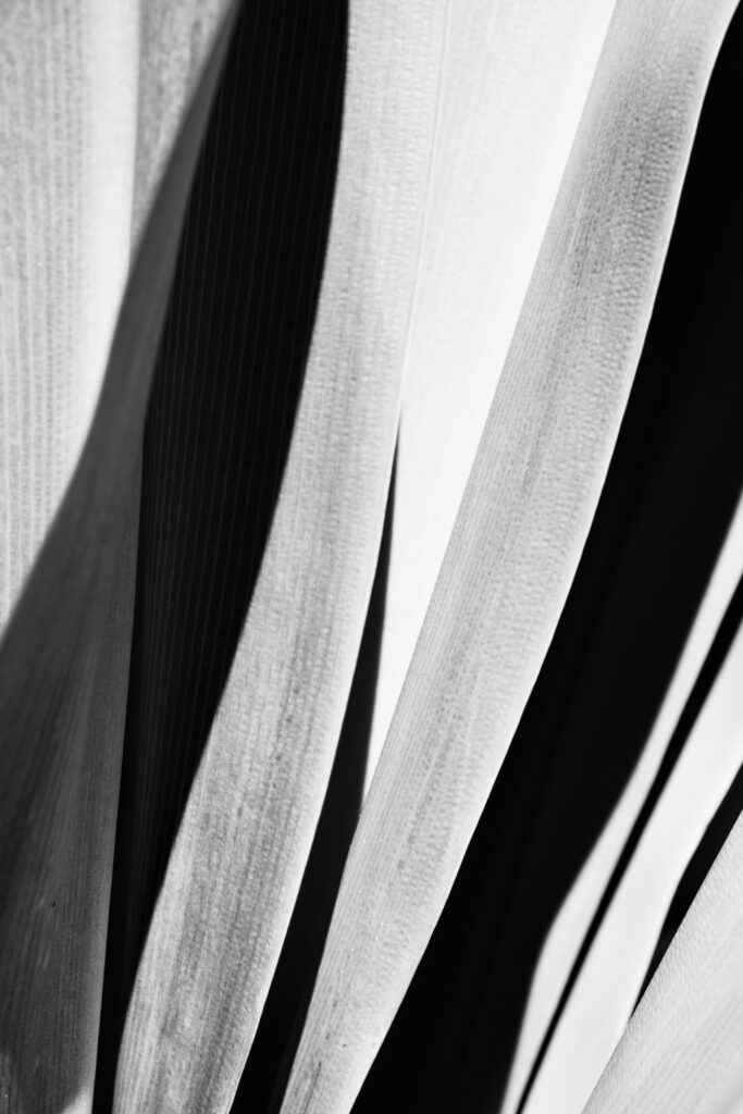 Abstract Black and White Wavy Stripe Wallpaper Background Design
