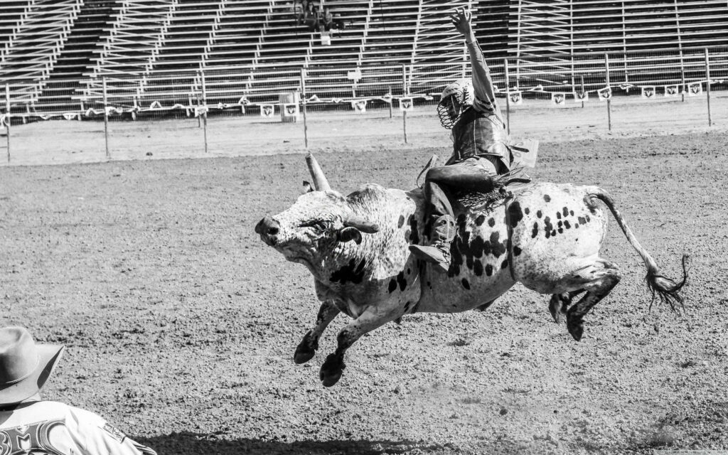 Intense Bull Rider Action in Dynamic Black and White Image Wallpaper
