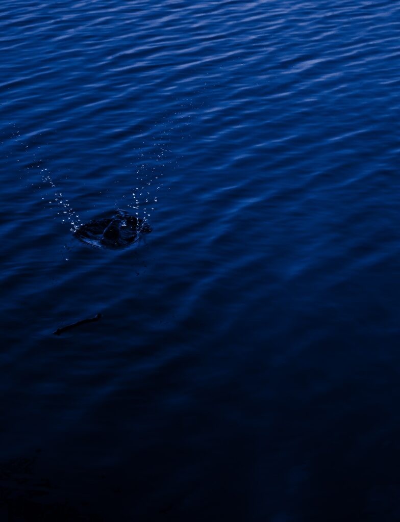 Dynamic splash and spray over deep blue water with fluid motion and moody atmospheric tones Wallpaper