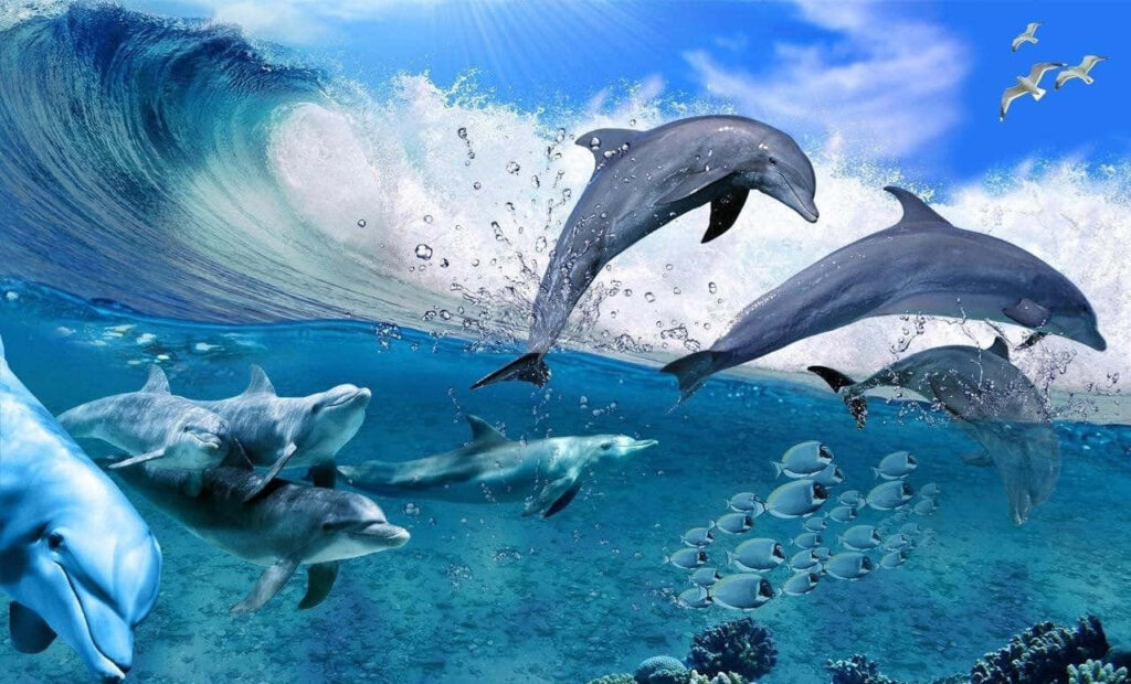 Dynamic Dolphin Wallpaper: Playful Marine Life in a Sunlit Ocean
