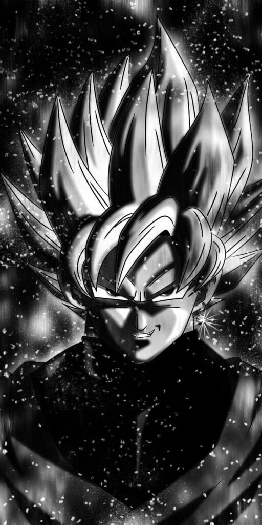 Dynamic Dragon Ball Black & White Wallpaper: Iconic Character Art