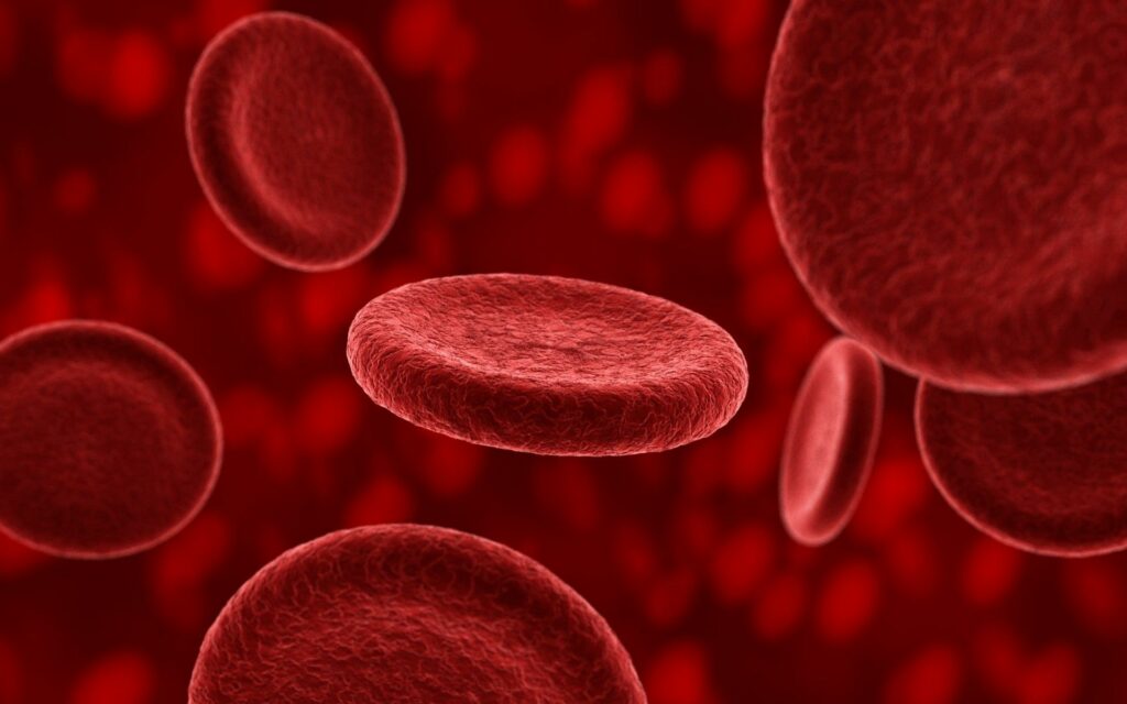 Dynamic Erythrocytes Wallpaper: Detailed View of Red Blood Cells