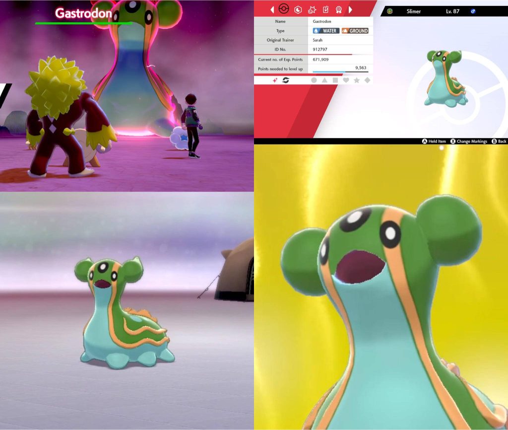 Gastrodon Pokémon collage from Sword and Shield showing battle camping and summary screens Wallpaper
