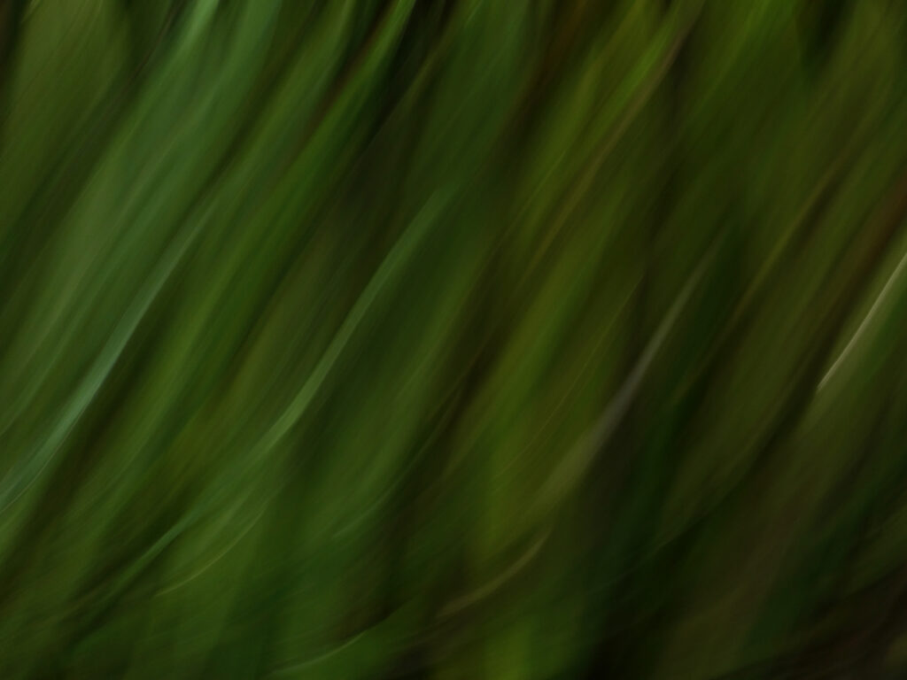 Dynamic Blurred Green Lines Wallpaper - Abstract Fluid Background