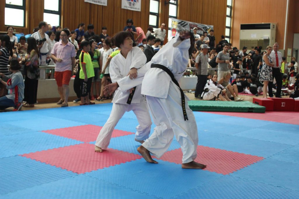 Female martial artist applying arm lock in Hapkido match on red blue mat indoor gym competition Wallpaper