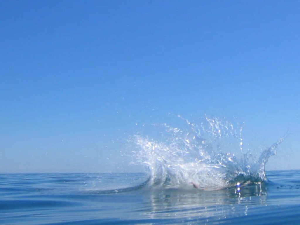 High-speed water splash in deep blue ocean under clear vibrant sky minimalist background Wallpaper