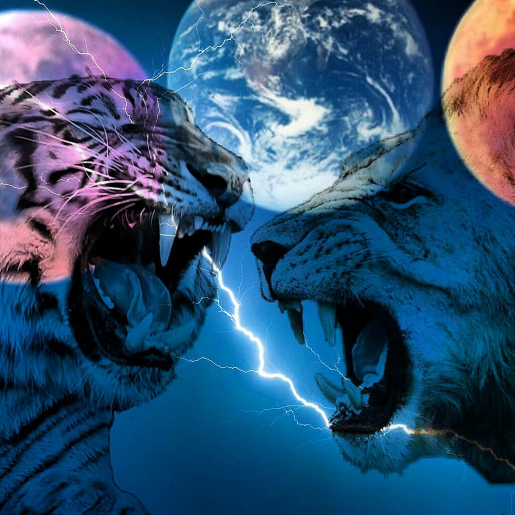 Cosmic Clash: Lion vs Tiger Dynamic Wallpaper with Electric Energy