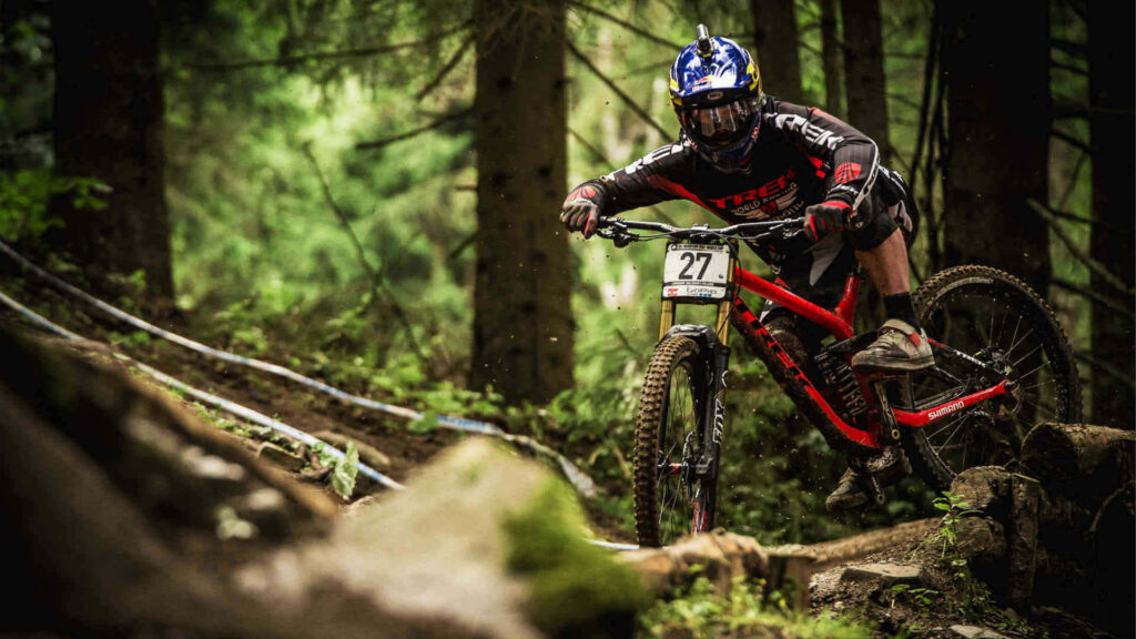 Thrilling Mountain Bike Adventure Wallpaper in Dense Forest