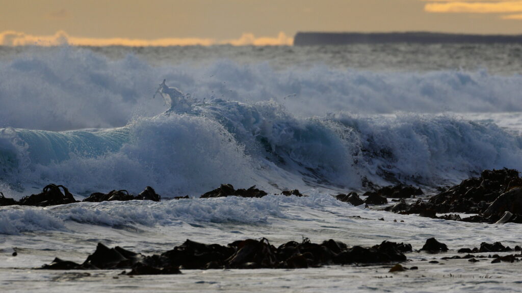 Dynamic waves crash rugged shoreline with blue water foamy spray dark seaweed golden sky Wallpaper