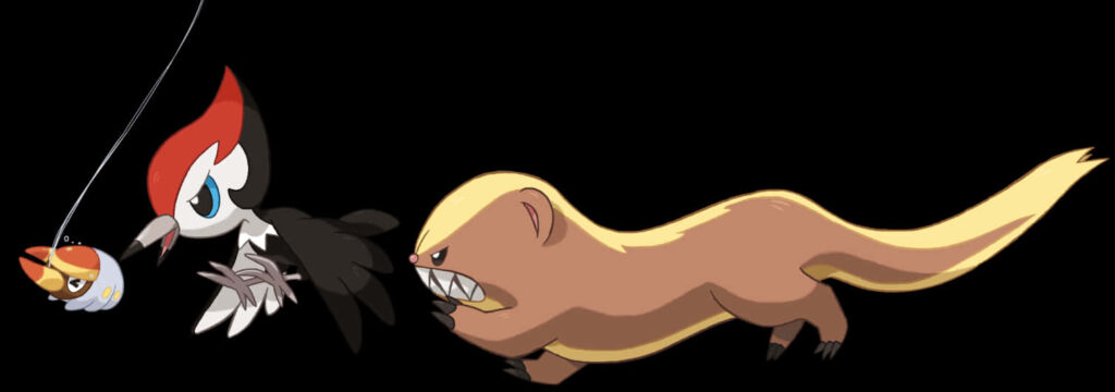Dynamic Pokémon Chase: Pikipek & Yungoos in Action Against Black Wallpaper