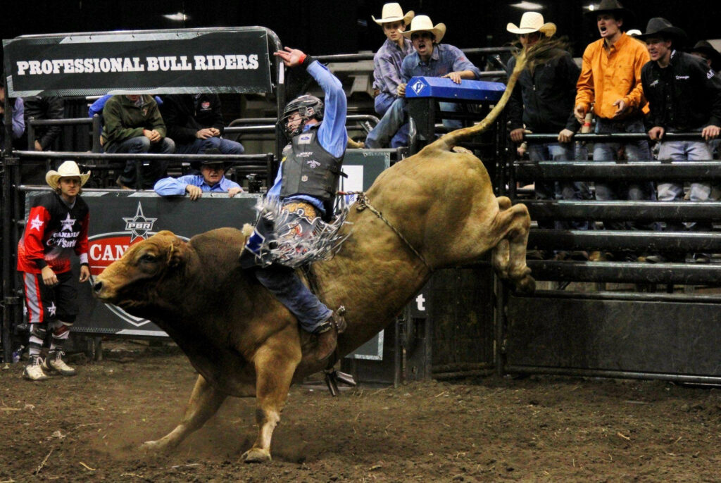 Professional bull rider balancing on bucking bull at rodeo with crowd and cowboy hats background Wallpaper
