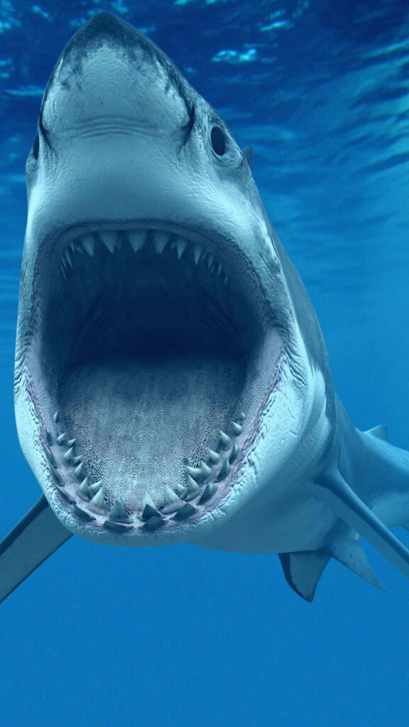 Dynamic Shark Week iPhone Wallpaper: Fierce Shark in Deep Blue
