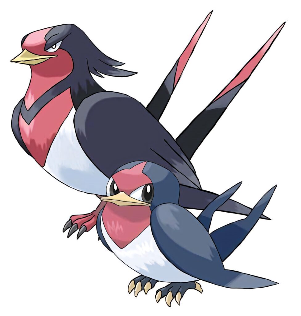 Dynamic Taillow & Swellow Wallpaper: Fierce Birds in Vivid Colors