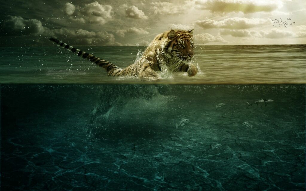 Dynamic Tiger Wallpaper: Captivating Leap Above and Below Water