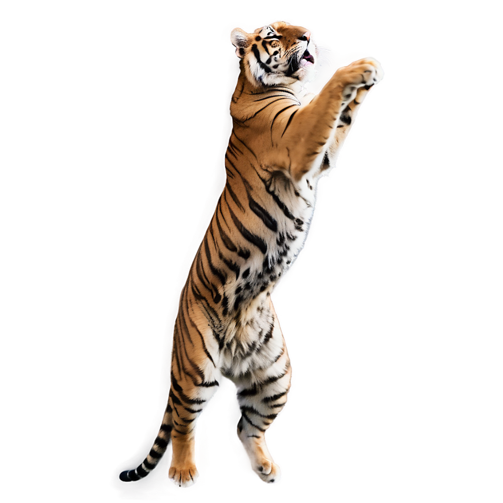 Dynamic Tiger Mid-Jump Wallpaper: Striking Stripes on Soft Background