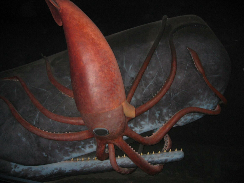 Dramatic Underwater Wallpaper: Giant Squid vs. Sea Creature Encounter