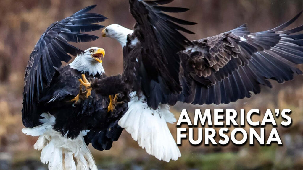 Majestic Bald Eagles Battle with AMERICA'S FURSONA in Dynamic Wallpaper