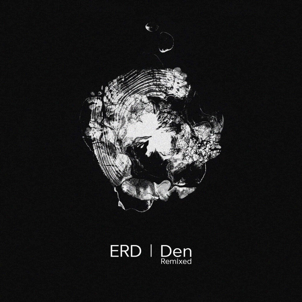 Abstract Black & White Wallpaper: ERD | Den Remixed Design