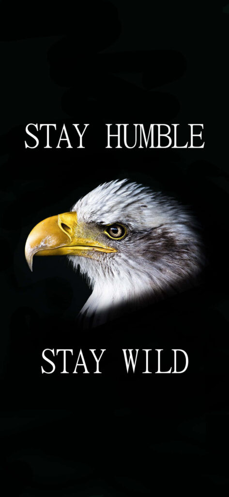 Eagle Wallpaper: Stay Humble, Stay Wild - Strength & Vision
