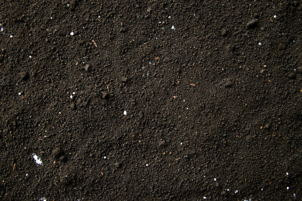 Zooming in on Earth's Organic Canvas: Capturing the Intricate Beauty of Soil Texture from Above Wallpaper