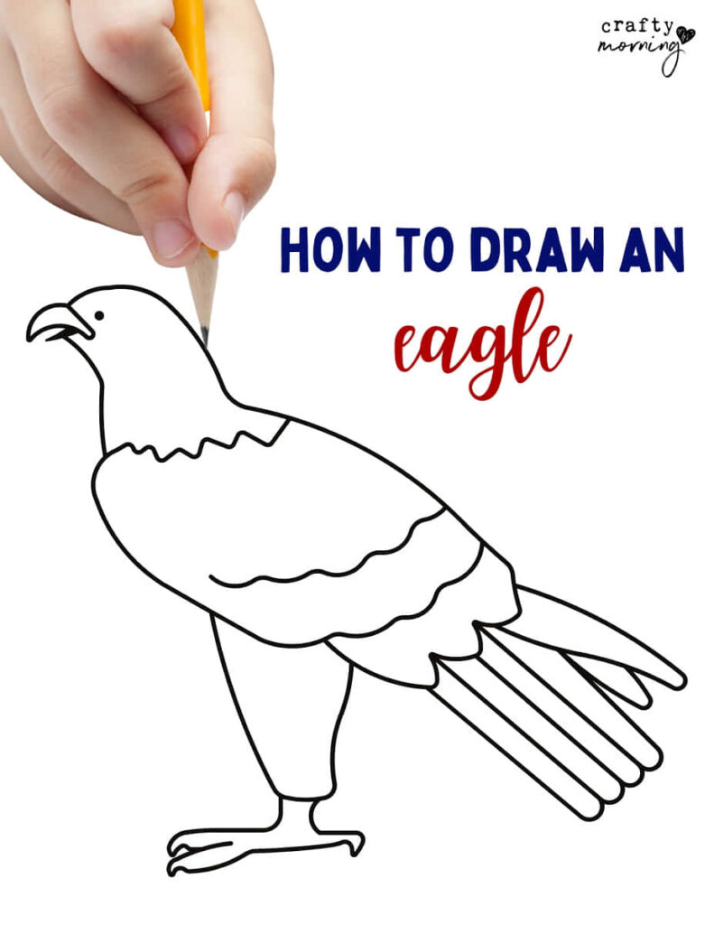 Simple Eagle Drawing Guide: Easy Sketch Wallpaper for Beginners