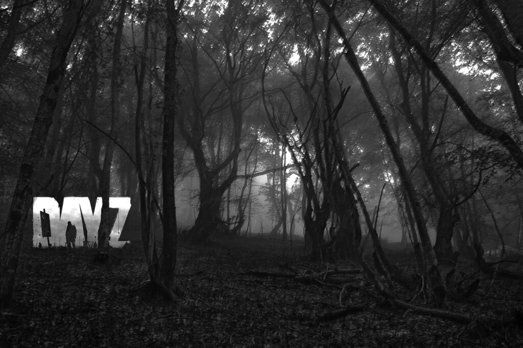 The Haunting Monochrome Wilderness: A Chilling Desktop Vision Wallpaper