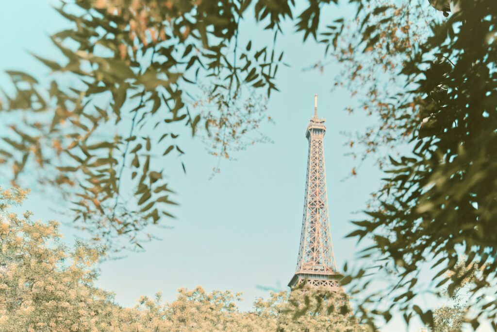 Scenic Eiffel Tower Wallpaper: Serene View with Tree Foliage