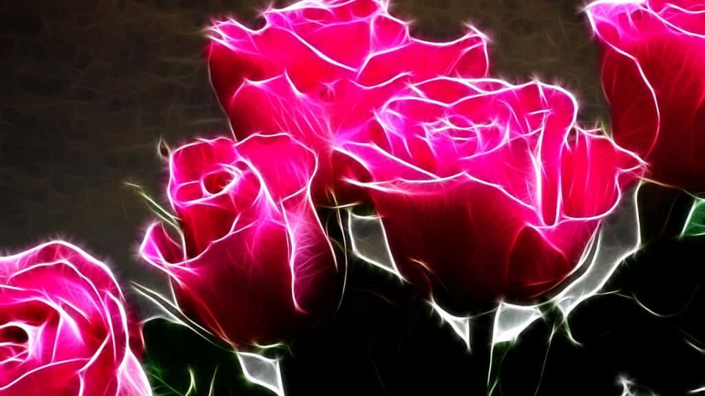 Vibrant pink neon roses on black background digital art wallpaper modern moody aesthetic