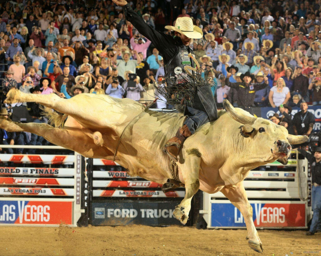Cowboy conquering powerful bull mid-leap rodeo action with cheering crowd and stadium lights background Wallpaper