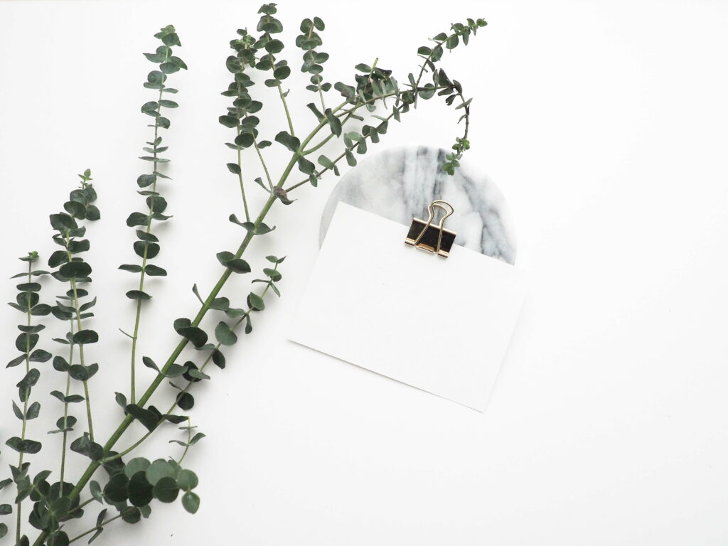 Minimalistic Elegance: Paper Clip and Potted Plant Adjacent to White Card on 5K Wallpaper