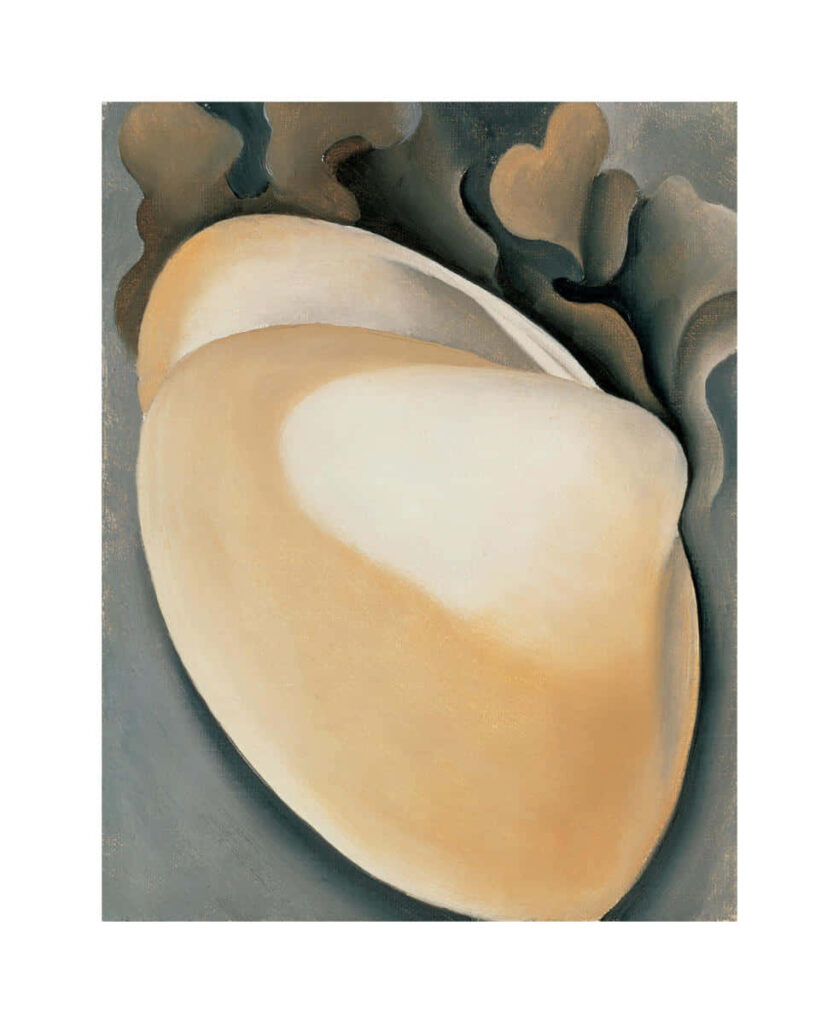 Abstract clam shell wallpaper in warm beige and ivory on muted gray coastal background
