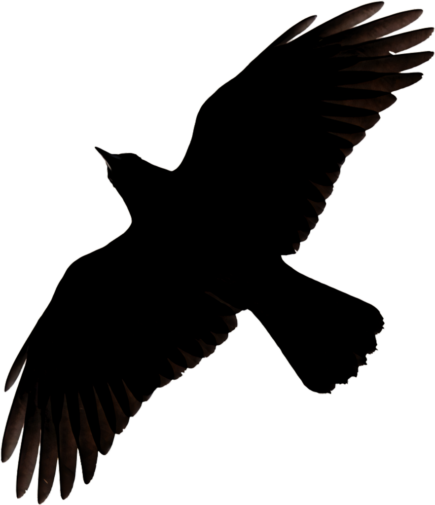 Elegant Bird Silhouette Wallpaper: High-Contrast Minimalist Design